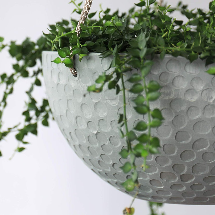 Keter hanging planter online set